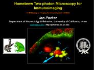 Homebrew Two-photon Microscopy for Immunoimaging