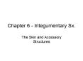 Chapter 6 Integumentary Sx. PowerPoint PPT Presentation