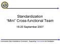 Standardization Mini Crossfunctional Team PowerPoint PPT Presentation