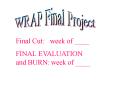 WRAP Final Project PowerPoint PPT Presentation