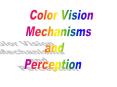 Color Vision PowerPoint PPT Presentation