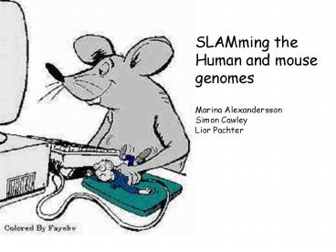 Gene Finding with HMMs