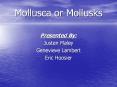 Mollusca or Mollusks PowerPoint PPT Presentation