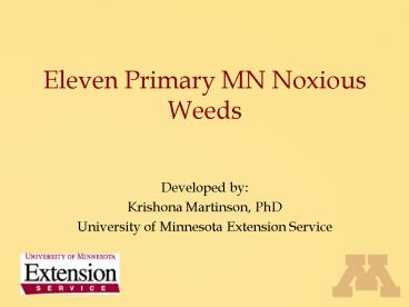Eleven Primary MN Noxious Weeds