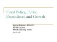 Fiscal Policy, Public Expenditure and Growth PowerPoint PPT Presentation