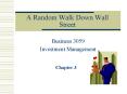A Random Walk Down Wall Street PowerPoint PPT Presentation