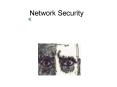 Network Security PowerPoint PPT Presentation