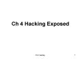 Ch 4 Hacking Exposed PowerPoint PPT Presentation