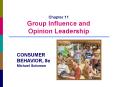 Chapter 11 Group Influence and Opinion Leadership PowerPoint PPT Presentation