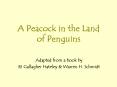 A Peacock in the Land of Penguins PowerPoint PPT Presentation