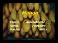 Mango PowerPoint PPT Presentation