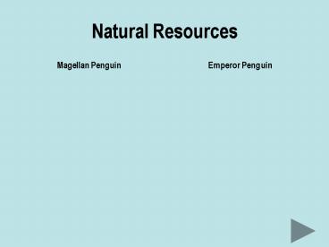 Natural Resources