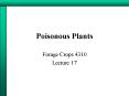 Poisonous Plants PowerPoint PPT Presentation