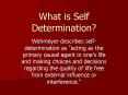 What is Self Determination PowerPoint PPT Presentation