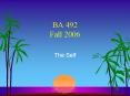 BA 492 Fall 2006 PowerPoint PPT Presentation