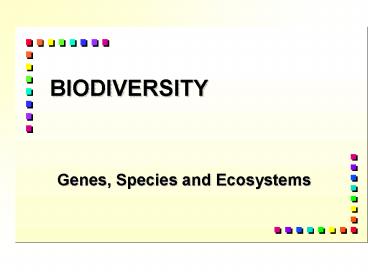 BIODIVERSITY