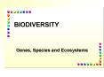 BIODIVERSITY PowerPoint PPT Presentation