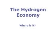 The Hydrogen Economy