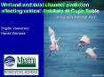 Wetland and tidal channel evolution affecting critical habitats at Cape Sable PowerPoint PPT Presentation