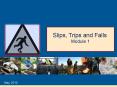 Slips, Trips PowerPoint PPT Presentation