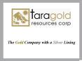 The Gold Company with a Silver Lining PowerPoint PPT Presentation