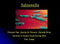 Salmonella PowerPoint PPT Presentation