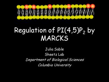 Regulation of PI4,5P2 by MARCKS