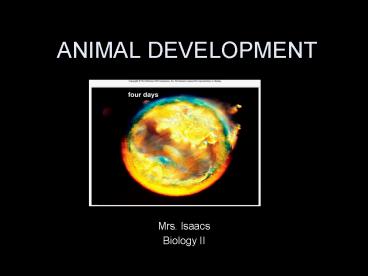 ANIMAL DEVELOPMENT