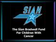 The San Bradwell Fund PowerPoint PPT Presentation
