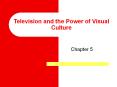 Television and the Power of Visual Culture PowerPoint PPT Presentation