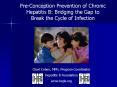 PreConception Prevention of Chronic Hepatitis B: Bridging the Gap to Break the Cycle of Infection PowerPoint PPT Presentation