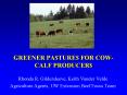 GREENER PA$TURE$ FOR COWCALF PRODUCER$ PowerPoint PPT Presentation