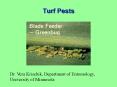 Turf Pests PowerPoint PPT Presentation