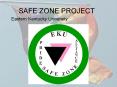 SAFE ZONE PROJECT PowerPoint PPT Presentation