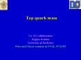 Top quark mass PowerPoint PPT Presentation