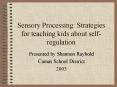 Sensory Processing: Strategies for teaching kids about selfregulation PowerPoint PPT Presentation