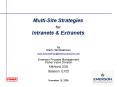 MultiSite Strategies for Intranets PowerPoint PPT Presentation