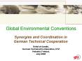 Synergies and Coordination in German Technical Cooperation PowerPoint PPT Presentation