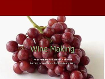 Wine Making