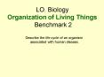 LO. Biology Organization of Living Things Benchmark 2 PowerPoint PPT Presentation