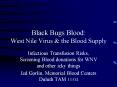 Black Bugs Blood: West Nile Virus PowerPoint PPT Presentation