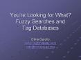 Youre Looking for What Fuzzy Searches and Tag Databases PowerPoint PPT Presentation