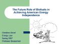 The Future Role of Biofuels in Achieving American Energy Independence PowerPoint PPT Presentation