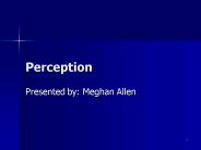 Perception