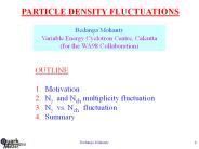 PARTICLE DENSITY FLUCTUATIONS