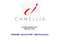 Camellia Infotech Ltd. PowerPoint PPT Presentation