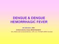 DENGUE PowerPoint PPT Presentation