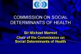 COMMISSION ON SOCIAL DETERMINANTS OF HEALTH PowerPoint PPT Presentation