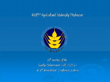 presentation player overlay