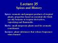 Lecture 35 Spices and History PowerPoint PPT Presentation